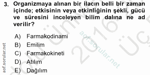 Soru 3