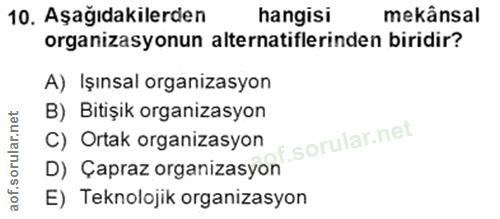 Soru 10