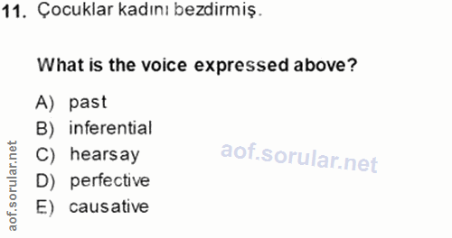 Soru 11