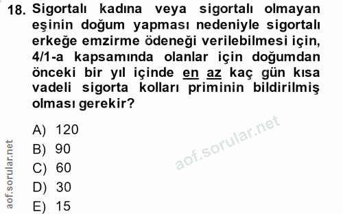 Soru 18
