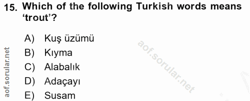 Soru 15