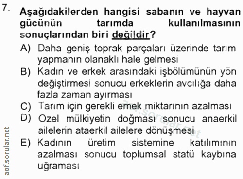 Soru 7