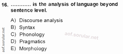 Soru 16