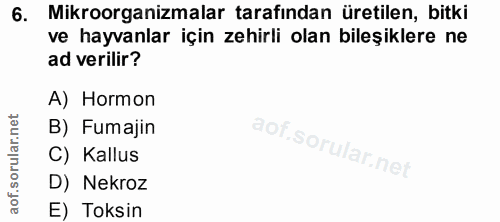 Soru 6