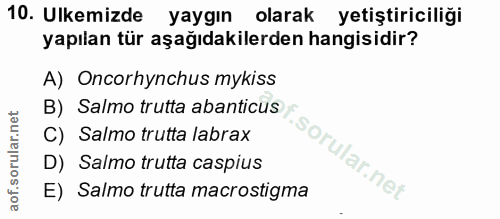 Soru 10