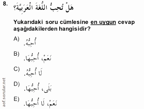 Soru 8
