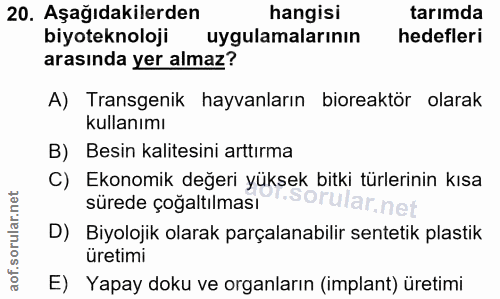 Soru 20