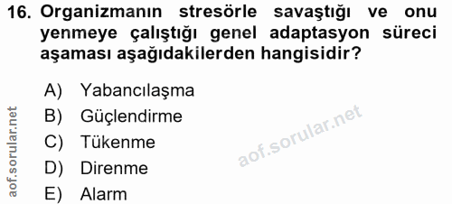 Soru 16