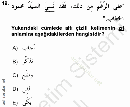 Soru 19
