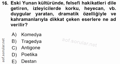 Soru 16
