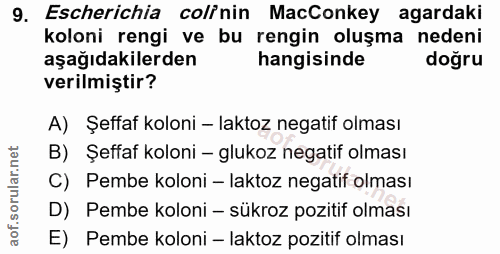 Soru 9