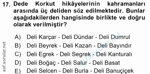 Soru 17