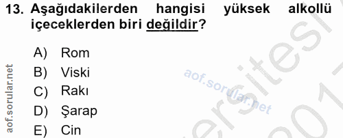 Soru 13