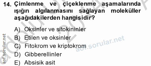 Soru 14