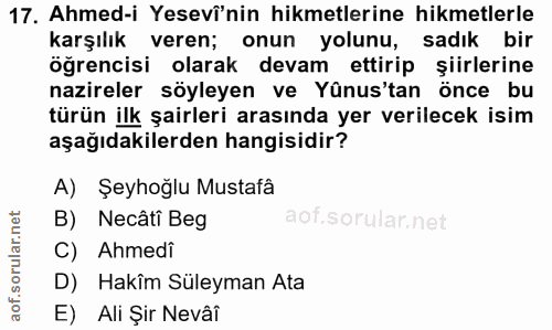 Soru 17