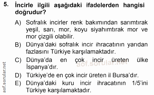 Soru 5