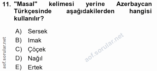 Soru 11