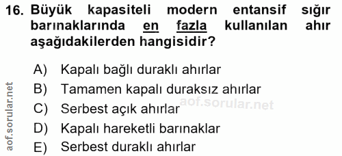 Soru 16