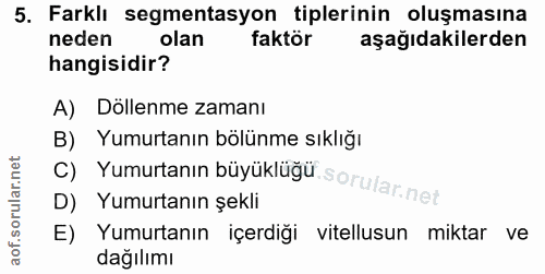Soru 5