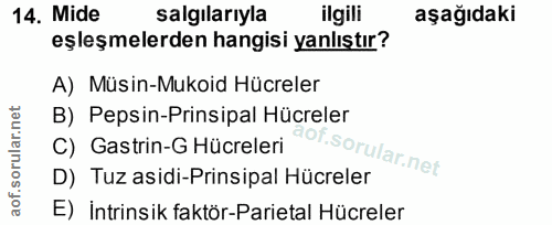 Soru 14