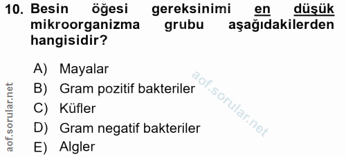 Soru 10