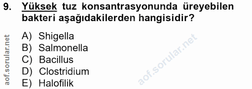 Soru 9