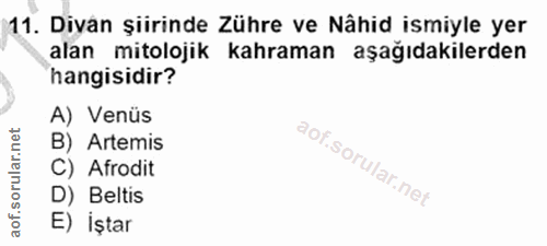 Soru 11