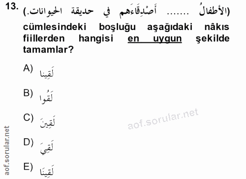 Soru 13