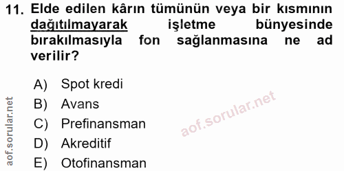 Soru 11