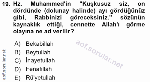 Soru 19