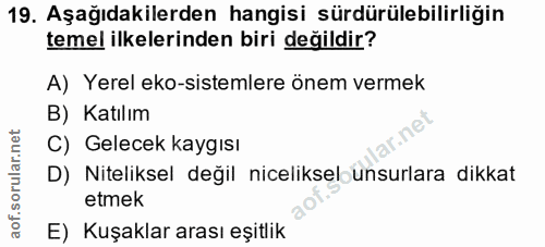 Soru 19