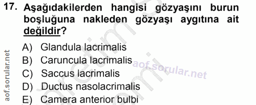 Soru 17