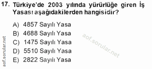Soru 17