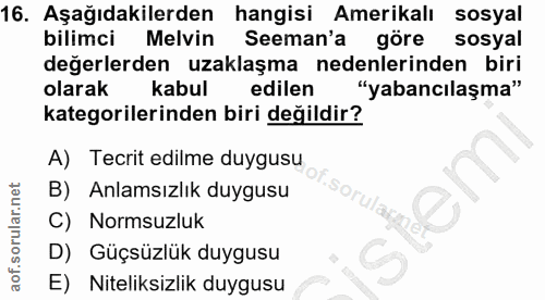 Soru 16