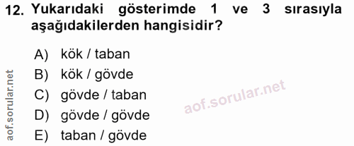 Soru 12