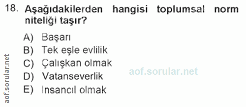 Soru 18