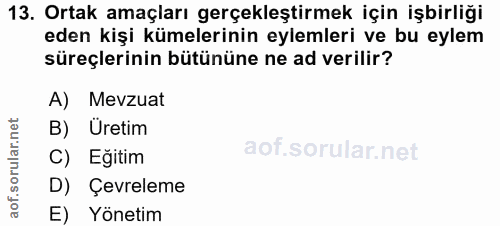 Soru 13