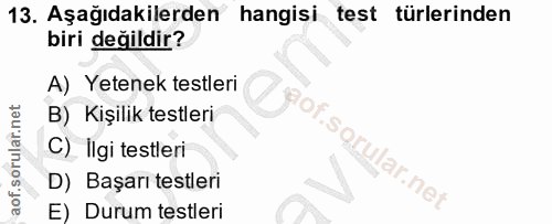 Soru 13