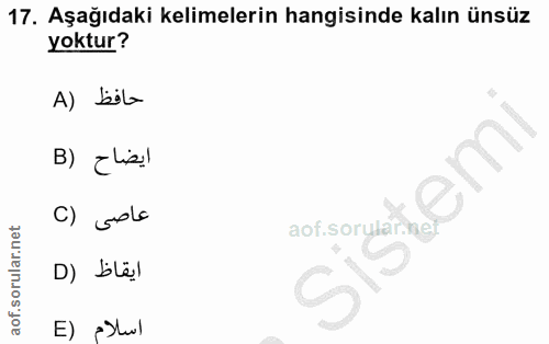 Soru 17