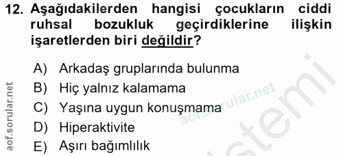 Soru 12