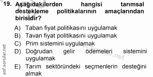 Soru 19