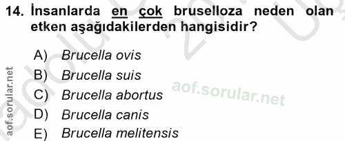 Soru 14