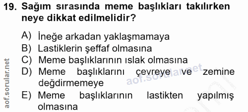 Soru 19
