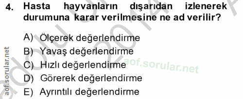 Soru 4