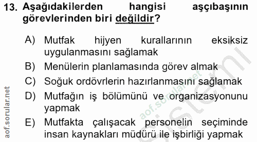 Soru 13