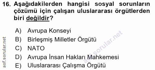 Soru 16