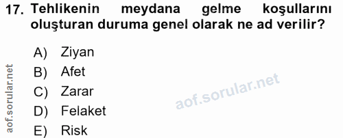 Soru 17