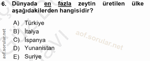 Soru 6