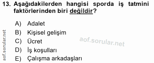 Soru 13
