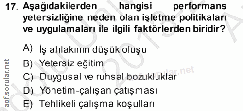 Soru 17